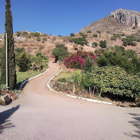 Finca Santa Matilde Málaga Exterior foto
