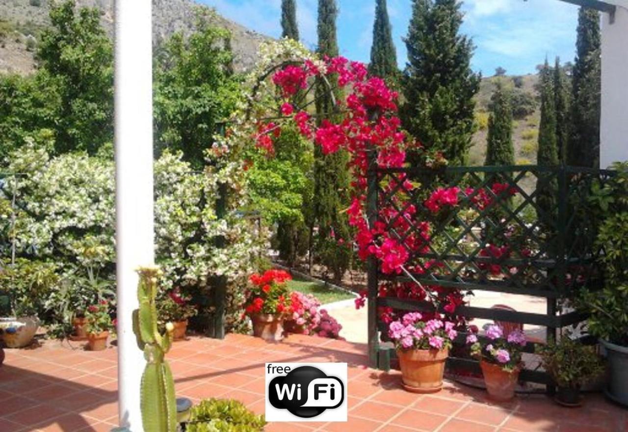 Finca Santa Matilde Málaga Exterior foto
