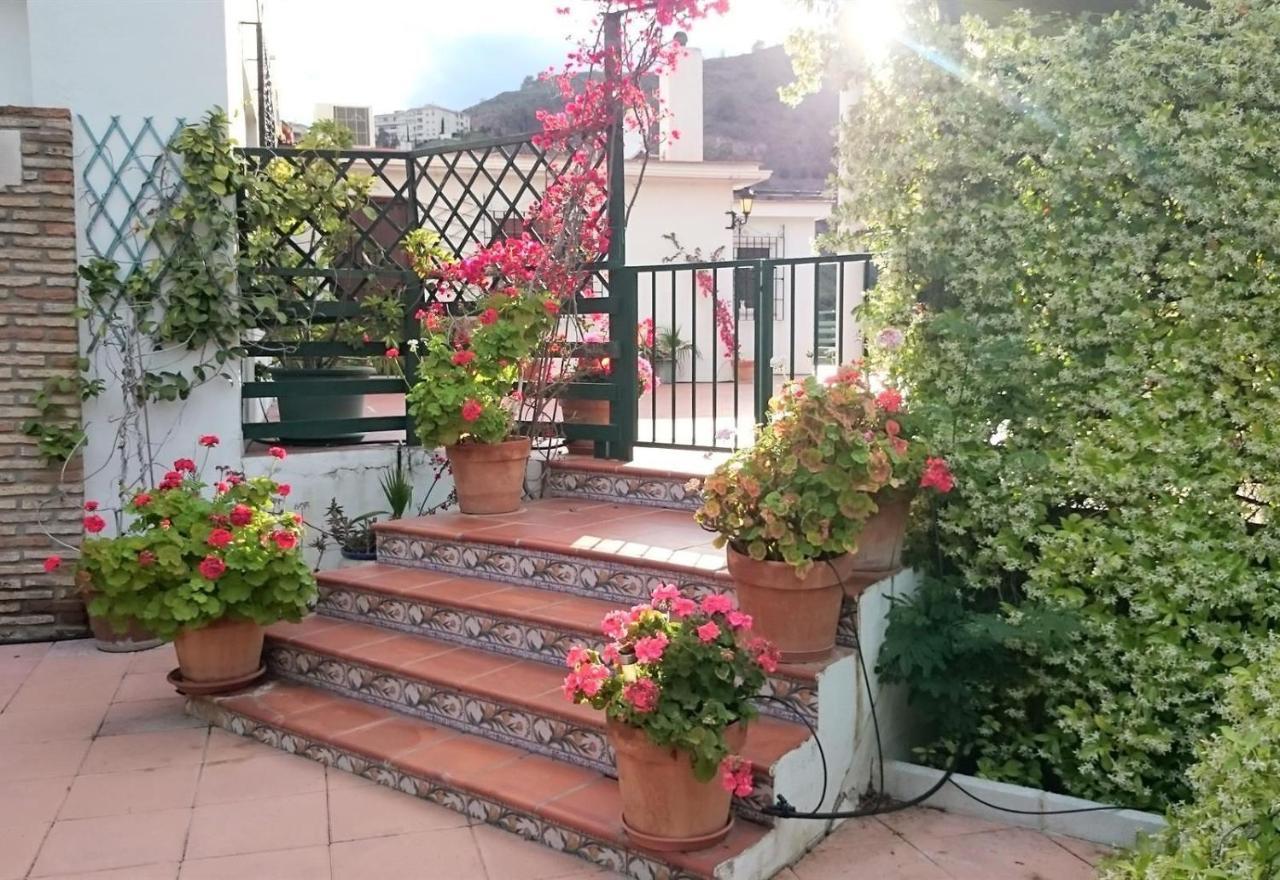 Finca Santa Matilde Málaga Exterior foto