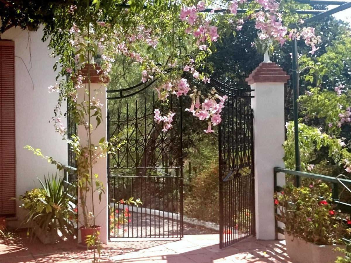 Finca Santa Matilde Málaga Exterior foto