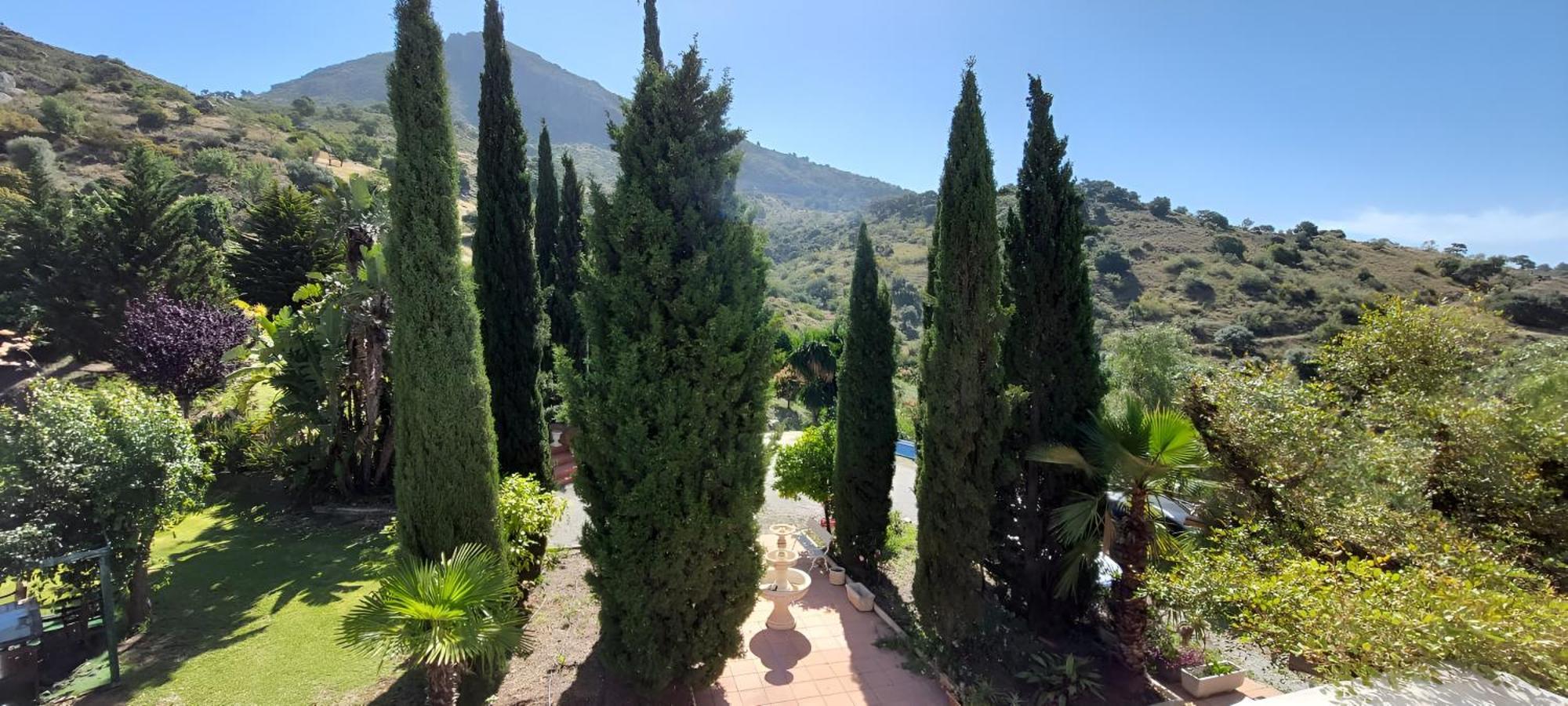 Finca Santa Matilde Málaga Exterior foto
