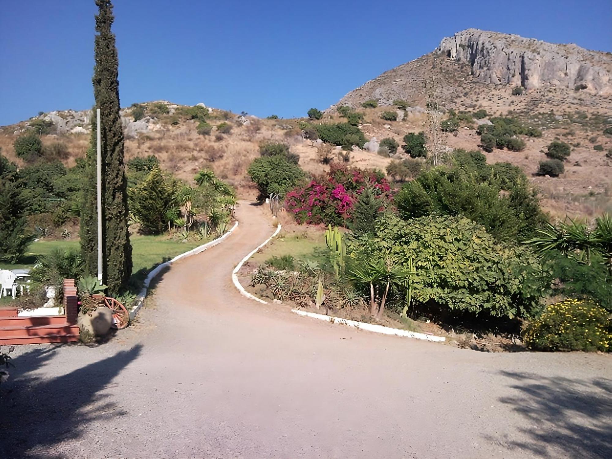 Finca Santa Matilde Málaga Exterior foto